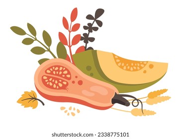 Halbe Kürbis Stücke und geschnitten mit Herbstblätter, Weizen. Reifenernte Gemüse. Gesundes Essen. Vektorgrafik für Herbstdesign, gute Ernährung, landwirtschaftliche Ernte, Thanksgiving