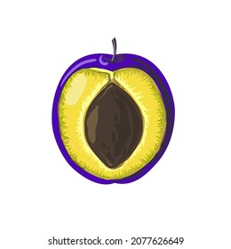 Media ciruela morada con una piedra en el interior. Fruta en forma de caricatura. Ilustración vectorial de material aislada en un fondo blanco.
