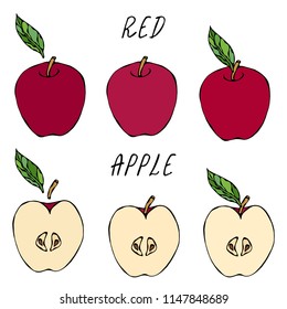 Half of Red Apple and Whole Apple and Leaf. Fresh Fruit. Nutrition Diet. Autumn or Fall Vegetable Harvest Collection. Realistic Hand Drawn High Quality Vector Illustration. Doodle Style.