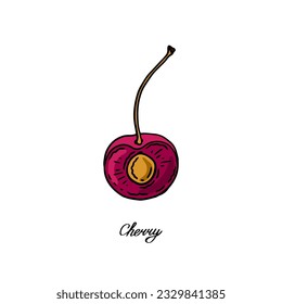 La mitad de cereza roja. Berry de color. Imagen plana dibujada a mano. Ilustración del vector