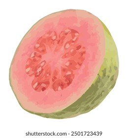 Half Red Guava Vector Illustration On White Background