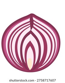 Half of red onion showing layers isolated on white background, fresh vegetable cross section, vector illustration