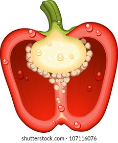 Half a red pepper over white