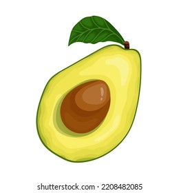 Half of ripe avocado with pit. Cartoon vector graphic.