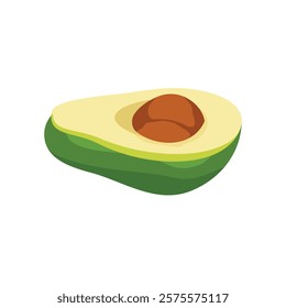 Half of ripe avocado with pit isolated on white background. Vector illustration