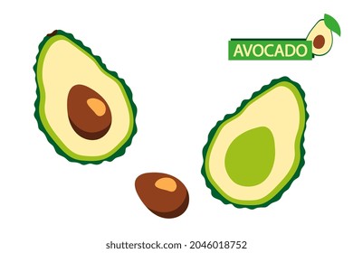 Half ripe avocado with seed. Abstract fruit. Cartoon style. Vector illustration.