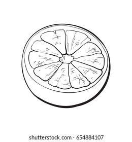 Half of ripe grapefruit, orange, hand drawn black and white sketch style vector illustration on white background. Hand drawing of unpeeled grapefruit cut in half