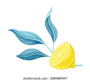 Half of ripe juicy lemon with green leaves vector illustration
