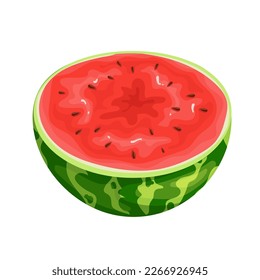 La mitad de una melón de agua jugosa y madura.Gráficos vectores.