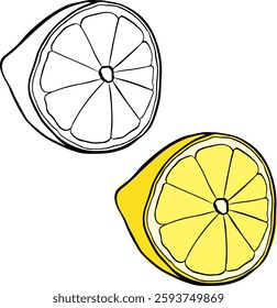 Half of a ripe lemon in graphic line ink style. Vector isolated Fresh citrus fruit. Ingredient for making lemonade or dessert. Lemon.
