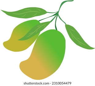 Medio fruto maduro de mango y algunas hojas