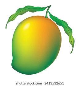 Ilustración vectorial de mango de media madriguera con permiso verde