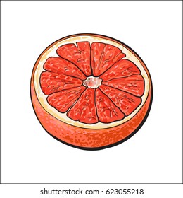 Half of ripe pink grapefruit, red orange, hand drawn sketch style vector illustration on white background. Hand drawing of unpeeled grapefruit cut in half