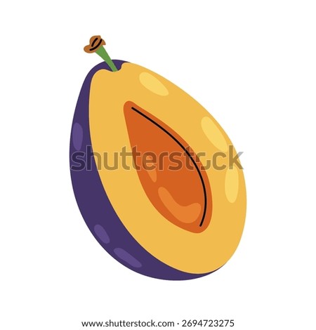 Half ripe plum with pit. Vector illustration of plum on white background. Fruits.