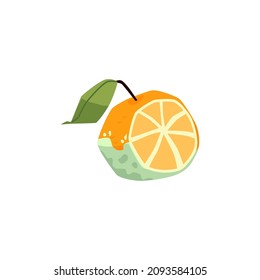 Half rotten orange with fungi, mildew in flat vector illustration isolated on white background. Old spoiled fruit with bacilli, fungus. Unsanitary, unhealthy, unhygienic food