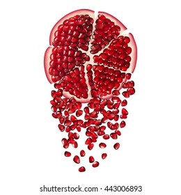 Half, seed and segment pomegranate fruit isolated on white background. Realistic vector illustration.