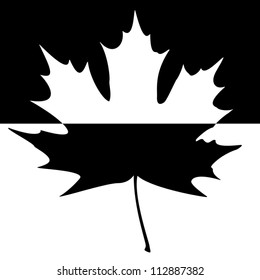 Half shaded carved maple leaf. EPS10 vector illustration.