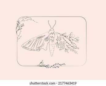 Half shape butterfly with branch and flowers for tattoo t-shirt print or wall art. Hand drawn wedding herb. Botanical rustic trendy greenery. Vector illustration