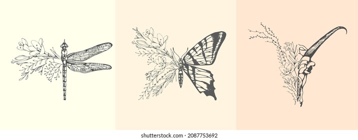 Half shape butterfly, dragonfly and skull with branch and flowers for tattoo t-shirt print or wall art. Hand drawn wedding herb. Botanical rustic trendy greenery. Vector