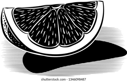 Half and slice blood orange, ripe on a white background, black and white vector.