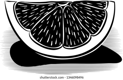 Half and slice blood orange, ripe on a white background, black and white vector.