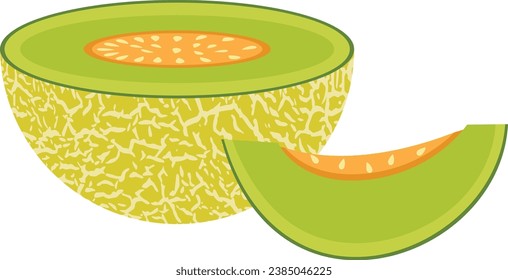 Half and slice of green melon
