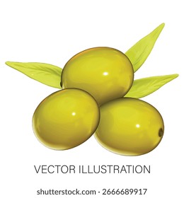Media rebanada de una ilustración 3D verde oliva sobre un fondo blanco
