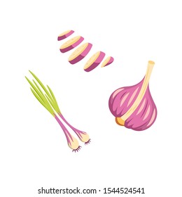 Half, slice and whole garlic isolated vector set. Vitamin vegetable set in cartoon style.