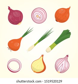 Half, slice and whole onion ripe. Yellow, red and spring onions vegetable vector set in cartoon style.