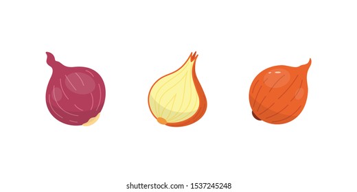 Half, slice and whole onion ripe. Yellow, red and spring onions vegetable vector set in cartoon style.