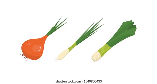 Half, slice and whole onion ripe. Yellow, red and spring onions vegetable vector set in cartoon style.