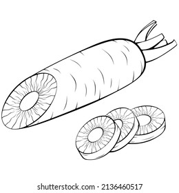Half and sliced carrot. Vector illustrations in hand drawn sketch doodle style. Line art organic vegetable isolated on white. Element for coloring book, design, print.