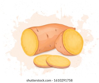 Half Slices of Sweet Potato vegetable vector illustration with Potato slices 