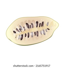 Half-Soursop-Ikone-Vektorgrafik. Graviola annona. Blattfrucht