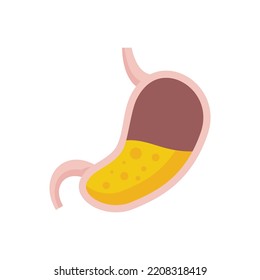 Half stomach icon. Flat illustration of Half stomach vector icon isolated on white background
