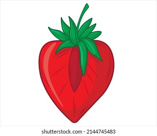 Half of a strawberry in isolate on a white background. Vector illustration