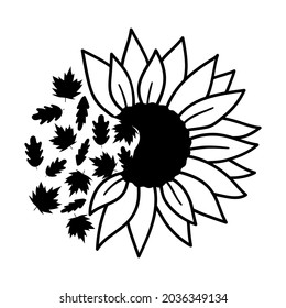 Half of sunflower. Fall leaves. Vector autumn illustration.  Isolated on white background. Good for posters, t shirts, postcards. svg