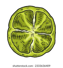 Half sweet bell green pepper. Top view. Vintage engraving vector black illustration. Isolated on white background. Hand drawn design
