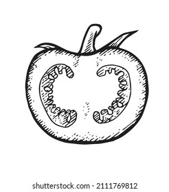 Half tomato. Beautiful ripe vegetable in vintage engraving style. Outline sketch. Hand drawing is isolated on a white background. Vector.