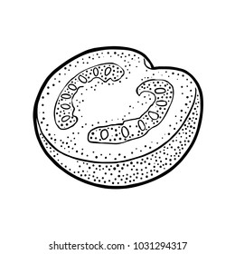 Half tomato. Engraving vintage vector black illustration. Isolated on white background. Hand drawn design element for label and poster