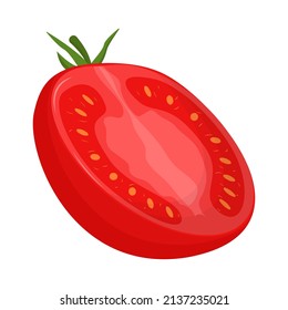 Half of tomato isolated on white background. Flat vector illustration