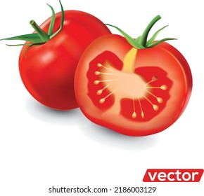 Medio tomate, una tajada y un tomate entero. Tartada de tomate rojo fresco aislada en blanco. Gráfica vectorial realista de alimentos orgánicos de tomate
