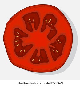 half tomatoes. Cooking ingredients isolated on white background. Vector illustration