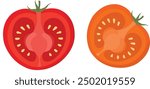 Half tomatoes, tomato slice. Half tomato Vector illustration. Fresh red tomato