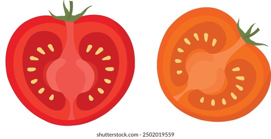 Mitad de tomates, rodaja de tomate. Media Ilustración vectorial de tomate. Tomate rojo fresco