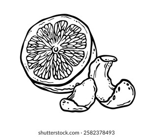 Metade de frutas de limão não descascadas com pequenos pedaços de casca. Esboço de tinta desenhado à mão de citrinos. Ilustração de contorno livre preto e branco para etiquetas de alimentos, papel de embalagem, impressão de cozinha e decoração