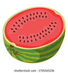 Half watermelon in cartoon style. Juicy fruit isolated on white background.