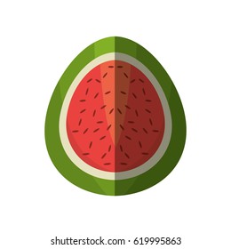half watermelon fruit shadow