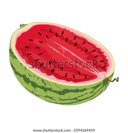 Half a watermelon. Hand drawn watermelon. 