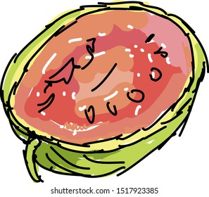 Half watermelon, illustration, vector on white background.